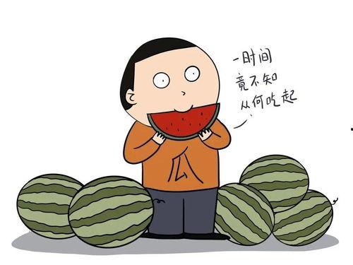 在线吃瓜秦女士,揭秘网络热议背后的故事